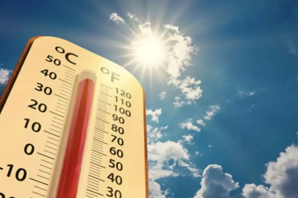 Januari 2024, Dinobatkan Bulan Terpanas Sepanjang Sejarah dan Ancaman Pemanasan Global