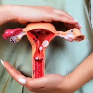 Mitos dan Fakta Seputar Kesehatan Reproduksi Perempuan yang Perlu Diketahui Mitos dan Fakta Seputar Kesehatan Reproduksi Perempuan yang Perlu Diketahui