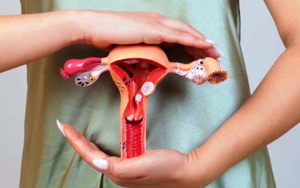 Mitos dan Fakta Seputar Kesehatan Reproduksi Perempuan yang Perlu Diketahui