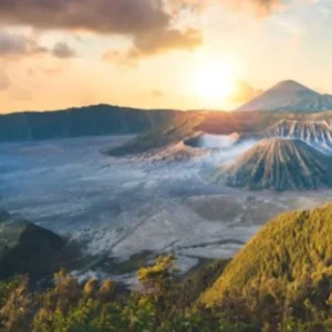 Pasca-Kebakaran, Gunung Bromo Kembali Menghijau