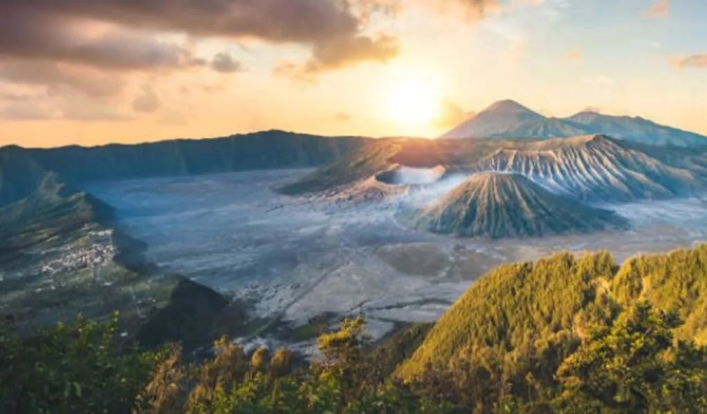 Pasca-Kebakaran, Gunung Bromo Kembali Menghijau