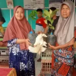 Bulan Ramadan, Pemdes Ketenong II Bagikan Ayam Kampung dan Bibit Pohon