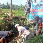 Debit Air Kurang, Pemdes Tabeak Kauk Bangun Irigasi