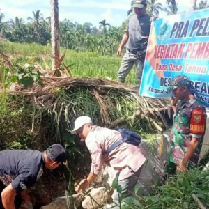 Debit Air Kurang, Pemdes Tabeak Kauk Bangun Irigasi