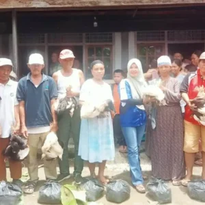 Pemdes Semelako 1 Bagikan Ayam Kampung untuk Tingkatkan Ekonomi Masyarakat Pemdes Semelako 1 Bagikan Ayam Kampung untuk Tingkatkan Ekonomi Masyarakat