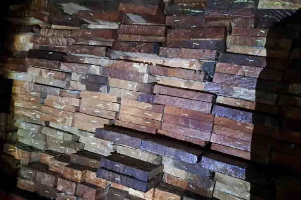 Polisi Amankan Truk Pembawa Kayu Meranti ilegal di Bengkulu