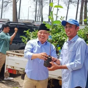 Dempo Xler: Akar Jambu Kristal Bisa Jadi Obar Diare