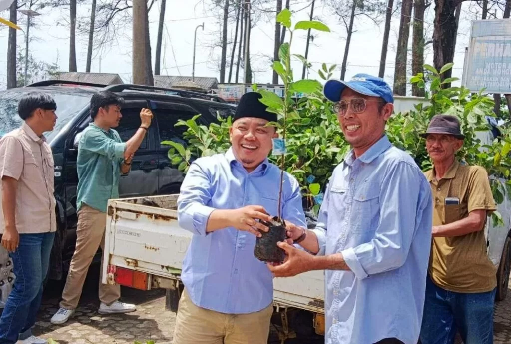 Dempo Xler: Akar Jambu Kristal Bisa Jadi Obar Diare