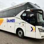 DAMRI Buka Lowongan Staf Desain Grafis di Jabodetabek, Cek di SiniÂ 