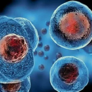 Jadi Harapan Baru dalam Mengatasi Kanker Darah, Apa Itu Stem Cell? Jadi Harapan Baru dalam Mengatasi Kanker Darah, Apa Itu Stem Cell?