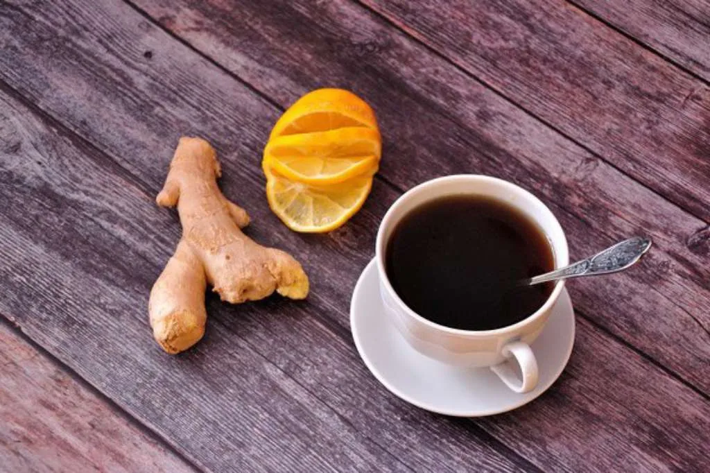 Ketua Umum PDPOTJI Bagikan Resep Herbal Jaga Stamina Saat Mudik