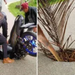 Lubang Ditengah Jalan Ini Kembali Telan Korban, Pemerintah Kaur Belum Ada Tindakan