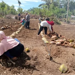 Pemdes Gunung Kembang Alokasikan 20% DD Untuk Peningkatan Ketahanan Pangan