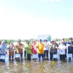 Tanam Mangrove, Pemprov Bengkulu Dukung Upaya Mitigasi Perubahan Iklim