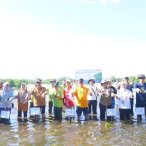 Tanam Mangrove, Pemprov Bengkulu Dukung Upaya Mitigasi Perubahan Iklim Tanam Mangrove, Pemprov Bengkulu Dukung Upaya Mitigasi Perubahan Iklim