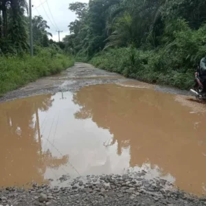 Jalan Lintas Milik Provinsi Bengkulu Ini Butuh Investor, Mau Dibuat Kolam Lele