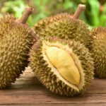 Kaya Buah Durian, Indonesia Maksimalkan Potensi Bisnis Melalui Agrowisata 5 Pilihan Makanan dan Minuman Sehat Setelah Makan Durian Doyan Makan Durian? Ini Tips Memilih Buah yang Bagus dan Manis