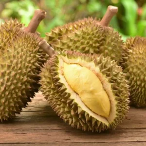 Kaya Buah Durian, Indonesia Maksimalkan Potensi Bisnis Melalui Agrowisata 5 Pilihan Makanan dan Minuman Sehat Setelah Makan Durian Doyan Makan Durian? Ini Tips Memilih Buah yang Bagus dan Manis
