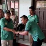 Kelurahan Klampok Panen Padi Sehat dan Adat Methik Pari