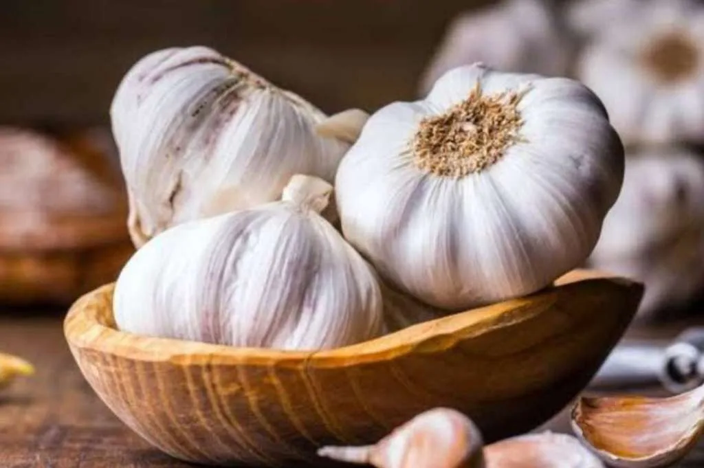 Manfaat Luar Biasa Bawang Putih untuk Kesehatan Tubuh