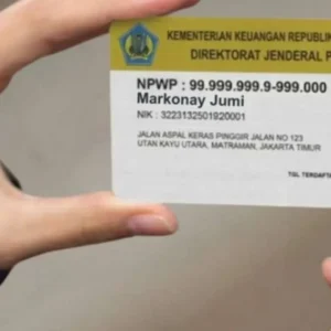 NIK Jadi NPWP Mulai Juli 2024, Ini Panduan Validasi dan Pengecekan Pemadanan NIK-NPWP Wajib Pajak Indonesia Mulai 1 Juli 2024