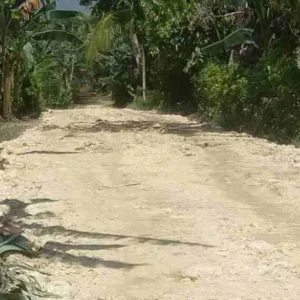 Pembangunan di Pulau Enggano Jadi Sorotan, Komisaris Perusahaan Ditangkap KPK Tahun 2023 Lalu