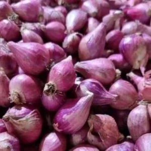 Harga Pangan Naik Drastis, Bawang Merah dan Cabai Merah Terkena Dampak
