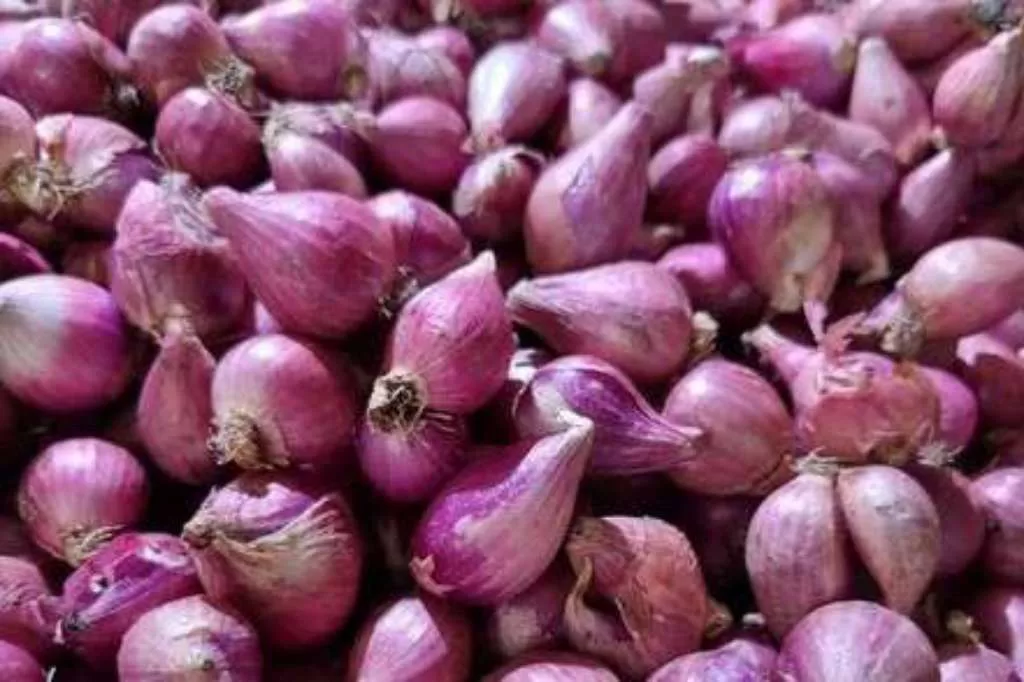 Harga Pangan Naik Drastis, Bawang Merah dan Cabai Merah Terkena Dampak