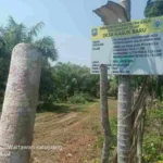 Pembangunan di Desa Kasuk Baru Jadi Sorotan, Warga: Kami Hanya Minta Transparan