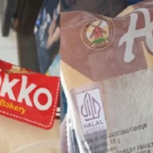 Roti Aoka dan Okko Diuji, Tunjukkan Perbedaan Bahan Pengawet