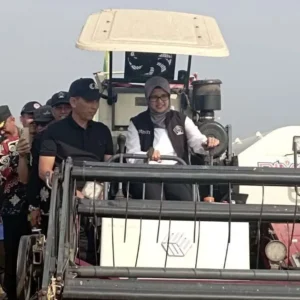 Bupati Blitar Panen Raya Padi di Sutojayan