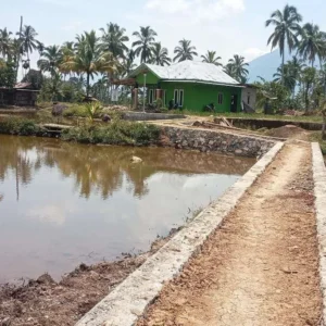 Pria Ini Aniaya Kekasihnya Didalam Lift Hotel Cuma Karena Tak Diajak Selfi Diisukan JUT Kelurahan Embong Panjang Menguntungkan Ketua RT, Ini Penjelasan RT