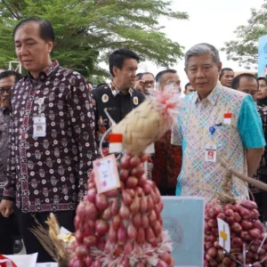Hadiri Pembukaan Festival Bawang Merah Brebes, Pj Wali Kota Tegal Beri Apresiasi Hadiri Pembukaan Festival Bawang Merah Brebes, Pj Walikota Brebes Beri Apresiasi