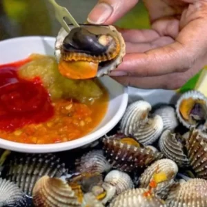 Makanan untuk Mengatasi Anemia, Sumber Zat Besi dan Nutrisi Makanan untuk Mengatasi Anemia, Sumber Zat Besi dan Nutrisi