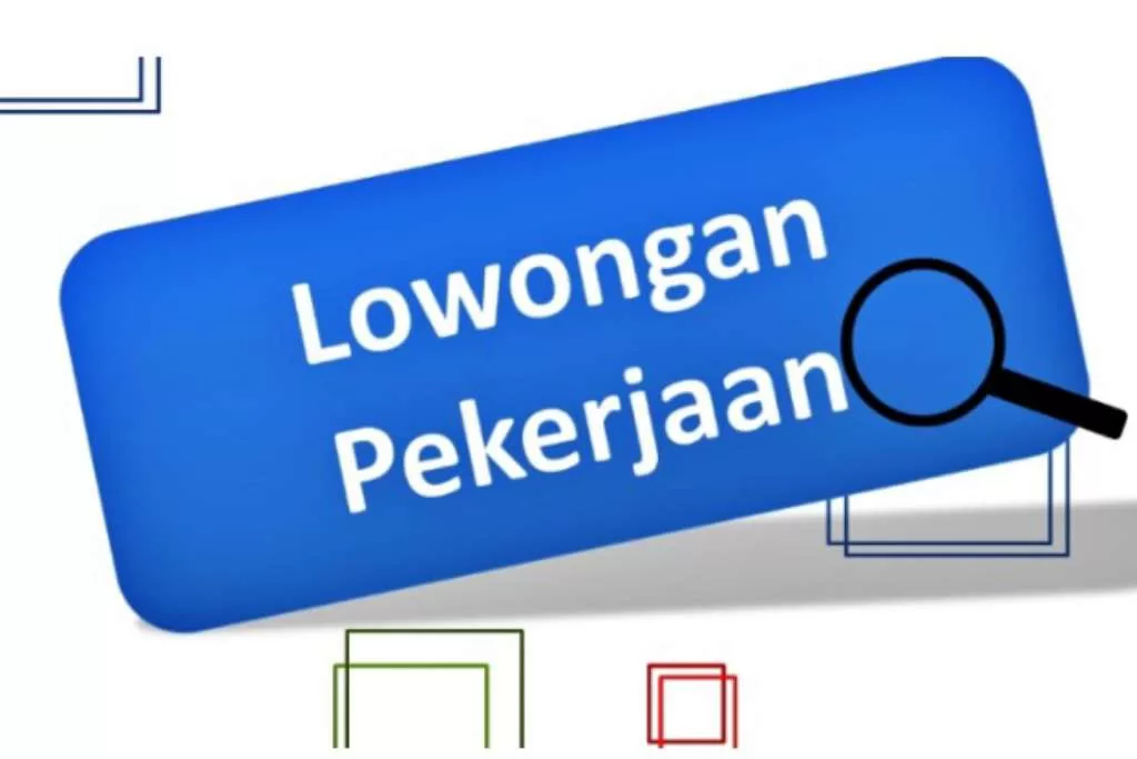 Pilihan Karir Fresh Graduate, Ini Lima Lowongan Terbaru Agustus 2024