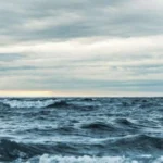 Rekor Suhu Laut Tertinggi dalam 400 Tahun Ancam Great Barrier Reef