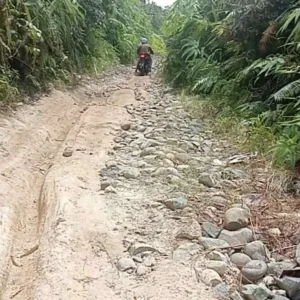 Sudah Merdeka 79 Tahun, Jalan Desa Tanjung Aur Kaur Masih Seperti Ini