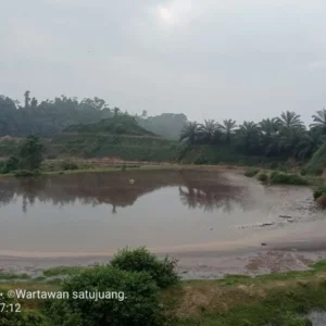 Sungai Perumbayan Diduga Kuat Tercemar Limbah PT KGS, Ikan dan Udang Ditemukan Banyak Mati