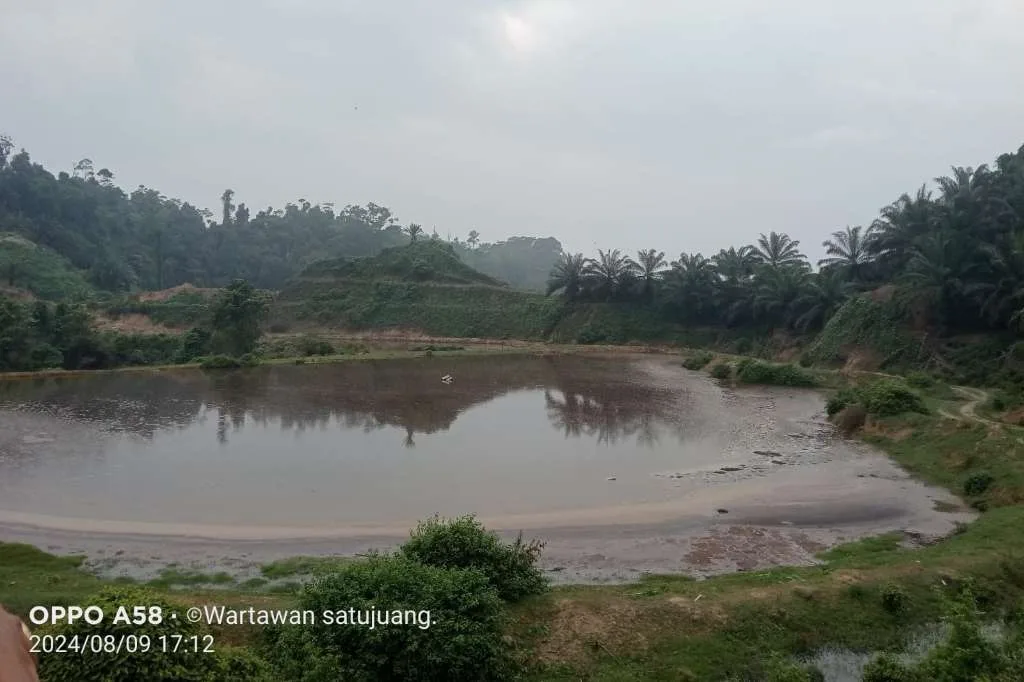 Sungai Perumbayan Diduga Kuat Tercemar Limbah PT KGS, Ikan dan Udang Ditemukan Banyak Mati