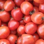 Waspadai Risiko Konsumsi Tomat bagi Penderita GERD dan Intoleransi Histamin