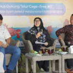AFJ F.A.I.R 2024, Dukung Telur Cage-Free untuk Kesejahteraan Ayam Petelur