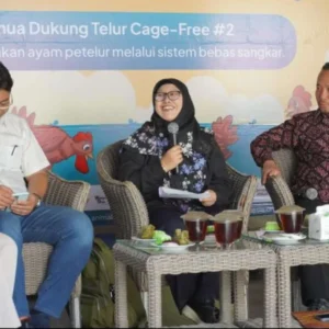 AFJ F.A.I.R 2024, Dukung Telur Cage-Free untuk Kesejahteraan Ayam Petelur AFJ F.A.I.R 2024, Dukung Telur Cage-Free untuk Kesejahteraan Ayam Petelur