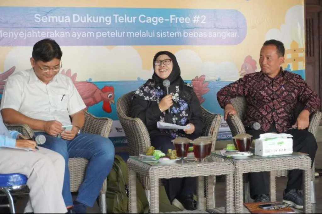 AFJ F.A.I.R 2024, Dukung Telur Cage-Free untuk Kesejahteraan Ayam Petelur