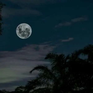 Bulan Tambahan Bumi, Asteroid PT5 2024 Dekat Selama Dua Bulan