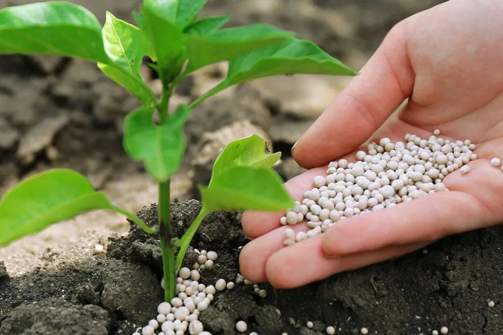 Jelang Musim Tanam, PT Pupuk Indonesia Imbau Petani Segera Tebus Pupuk Bersubsidi