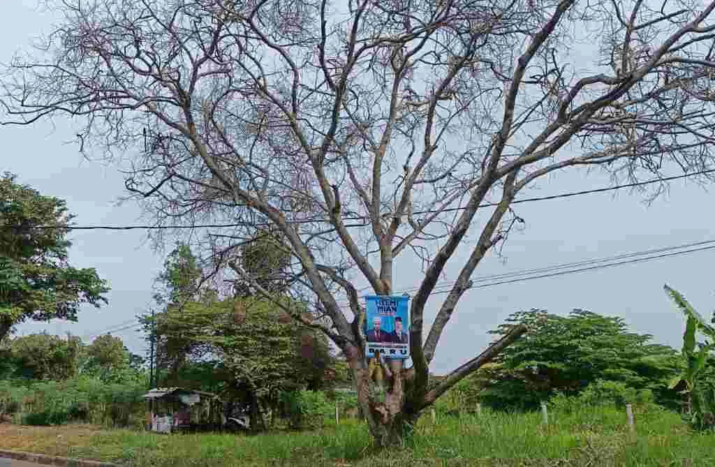 Jeritan Sebatang Pohon, Pandangan Dari Kacamata Islam