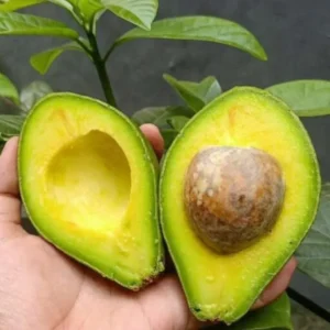 Lagi Bad Mood? 7 Buah Dapat Tingkatkan Suasana Hati Secara Alami Lagi Bad Mood? 7 Buah Dapat Tingkatkan Suasana Hati Secara Alami
