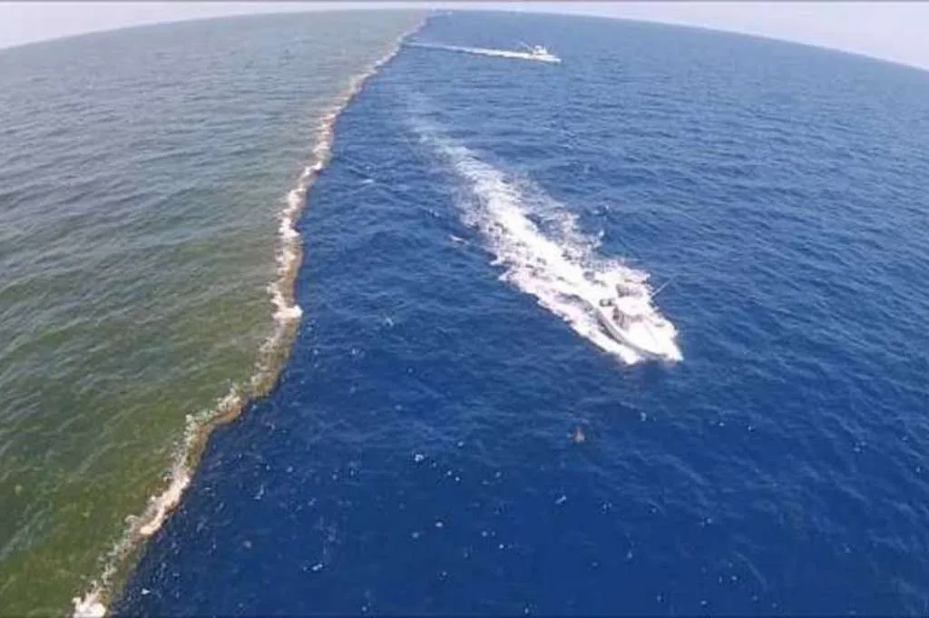 Air Samudera Atlantik dan Pasifik Tak Dapat Menyatu? Ternyata Ini Penjelasannya 