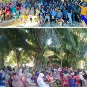 Jika Terpilih, Choirul Huda-Rahmadi Akan Fokus Pada Infrastruktur Desa Jika Terpilih Choirul Huda-Rahmadi Akan Fokus Pada Infrastruktur Ditiga Desa Ini