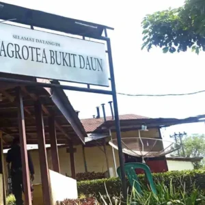 Polda Bengkulu Mulai Proses Dugaan Korupsi PT Agrotea Bukit Daun Rejang Lebong